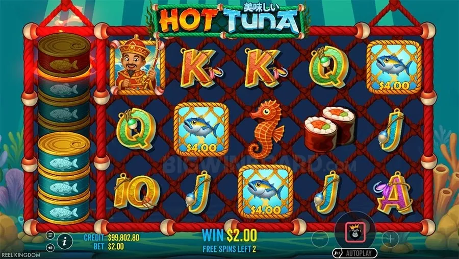 phjoy 23 Live Dealer Casino Games